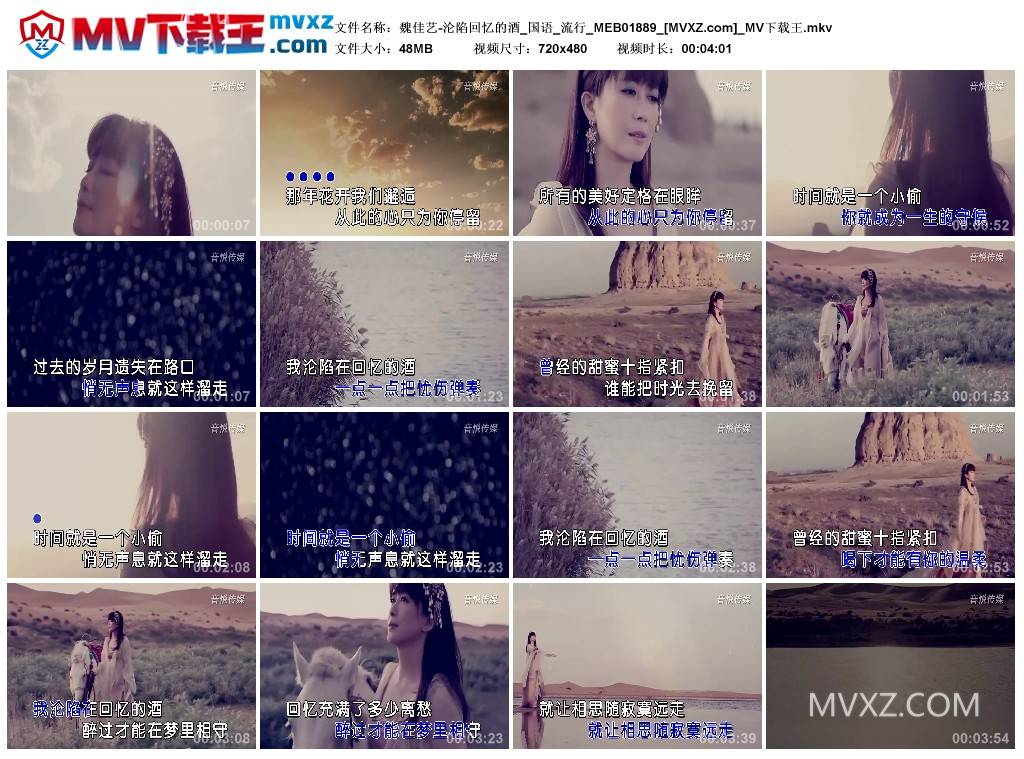 魏佳艺-沦陷回忆的酒_国语_流行_MEB01889